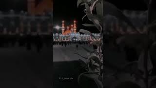 ضايع وحبك لكاني￼🥺💔محمد باقر الخاقاني🎤كربلاء بين الحرمين #ستوريات_حسينيه