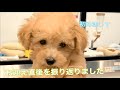 【生後半年記念】赤ちゃんの頃を振り返る。かわいいシーンをまとめました！
