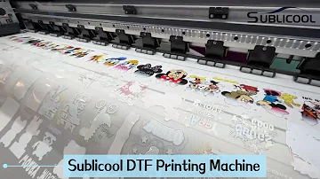 Sublicool 60cm 2 heads i3200/XP600 DTF Printer