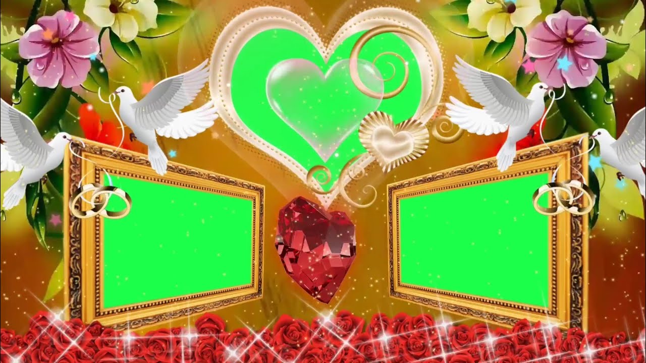 New Green Screen | Green Screen Effect | 3D Effect | Wedding Green Screen Background | Green Screen