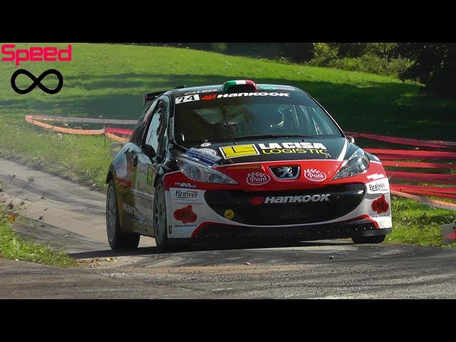 SOLIDO 151403 - Miniature Peugeot 207 Super 2000 Rallye Vouilloz 16 (1:43) EUR 33,25 - FR