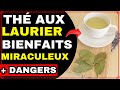 Pourquoi Boire Du THÉ AUX FEUILLES DE LAURIER Tous Les Jours FEUILLES DE LAURIER LAURIER DANGERS