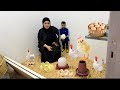 عملنا مزرعه ع قدنا والحمدلله دبحنا منها واتغدينا 