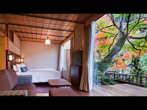Staying at Japan's Secret Onsen Ryokan in Autumn🍁♨️ | Yoshina Onsen Tofuya | ASMR