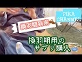 換羽期到来！換羽期用のサプリ購入【セキセイインコのいる暮らし26】