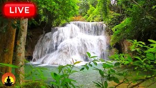 🔴 Healing Frequency 24/7: Forest Waterfall Meditation Music