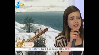 Aylin Demir Kaya - Bahçada yeşil çınar Resimi