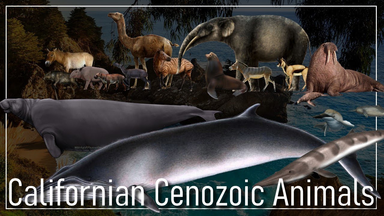 🇺🇲 Dawn of California