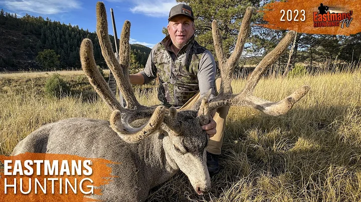 HUGE 200-Inch Velvet Buck! Guy Eastman Hunts Colorado Deer and Elk