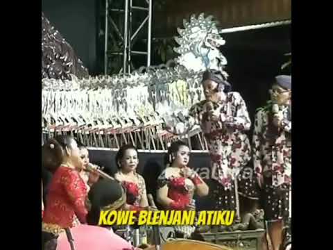 status-wa-.cak-percil-wong-wedok-dancuk😂😂😂😂😂