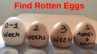 HOW TO FIND ROTTEN EGG | AGE OF THE EGG | EXPERIMENTS AND HACKS