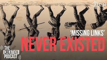 What About Transitional Fossils? | The Creation Podcast: Episode 37