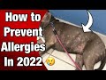 Best way to PREVENT Allergies for Pit bulls in 2022!