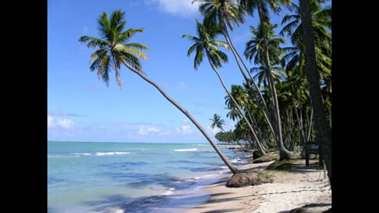 Tamandaré Pernambuco fonte: i.ytimg.com Fonte: i.ytimg.com