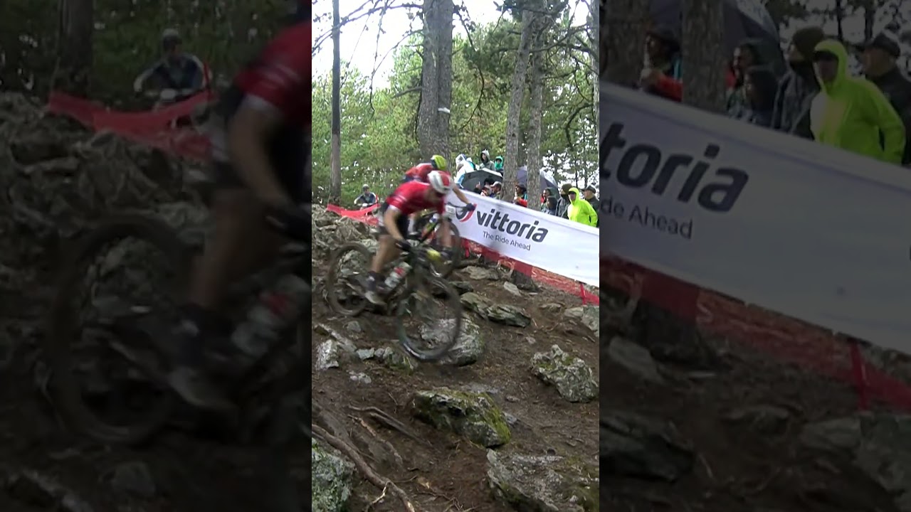 Greasy Conditions Causing Problems For All!