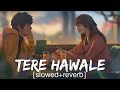 Tere hawaale lofi slowed  reverb  arijit singh shilpa rao tseriesrelaxlocations