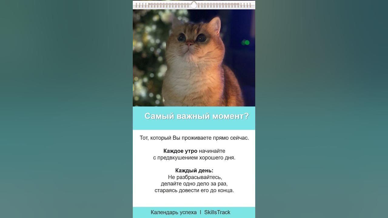 Календарь успеха #137/ Самый важный момент? - YouTube
