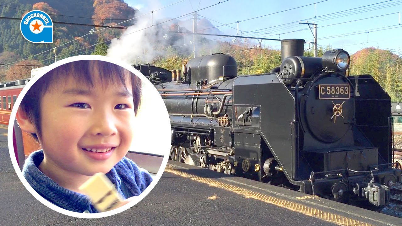 SLパレオエクスプレスにみんなで乗りました【がっちゃん5歳】C58 蒸気