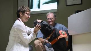 Search and Rescue dog Cody, Oncology Patient at VRCC