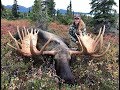 Girl Shoots GIANT MOOSE!!! - Stuck N the Rut 105