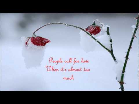 The Bees - Winter Rose (Nicolas Jaar Remix)[With Lyrics]