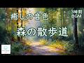 森の散歩道 ─ チェロ＆ピアノ【 3時間BGM 】｜A Forest Path – Cello & Piano