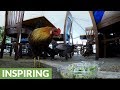 Customers share salad leftovers with chickens in outdoor restaurant Customers share salad leftovers with chickens in outdoor restaurant
