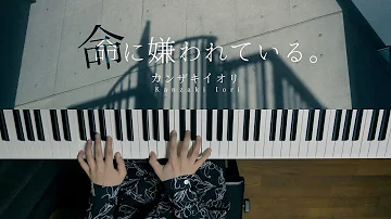 命に嫌われている コード 命に嫌われている コード