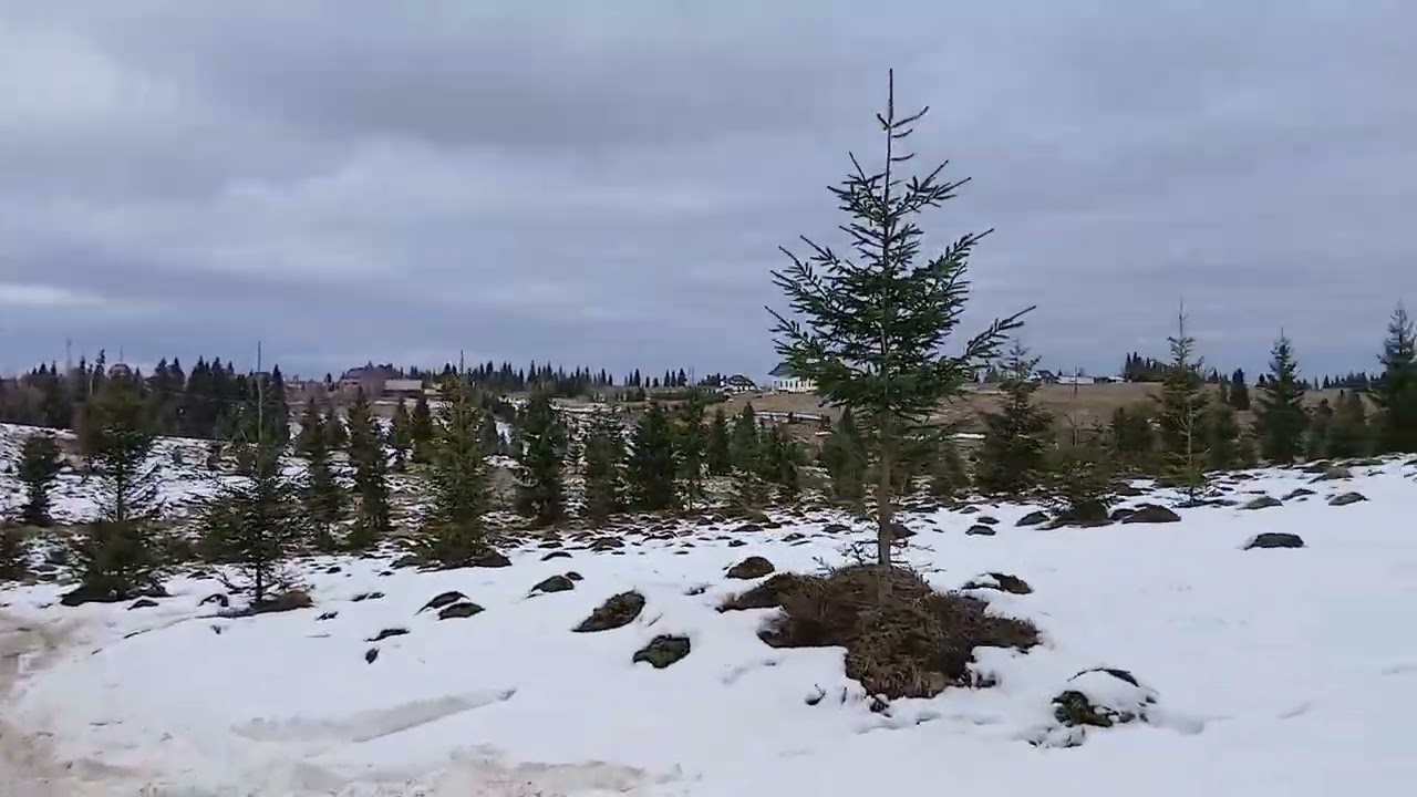 FEBRUARIE 2026 ❄️ MATIZ pe DRUM FORESTIER ÎNZĂPEZIT în Munții Apuseni 😱 Aventură AUTO de IARNĂ