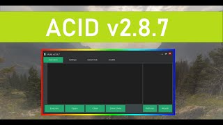 Famous ACID v2.8.7 Executor | LEVEL 6! | NO ADS! | ROBLOX EXPLOITING Net Worth