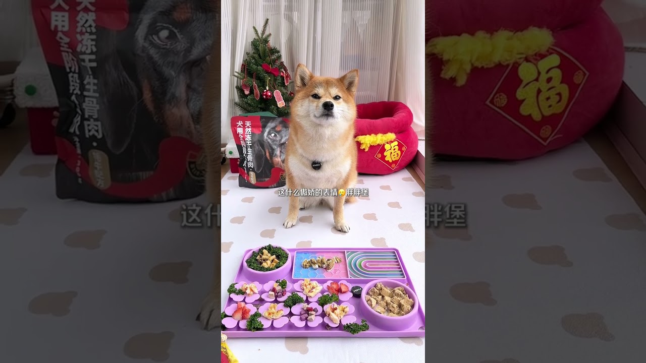 Puppy's First Rice Bowl: Sesame Paste Rainbow Candy Adventure