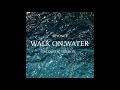 Beyoncé Walk On Water Acoustic Version 