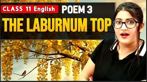 The Laburnum Top Class 11 Animation 