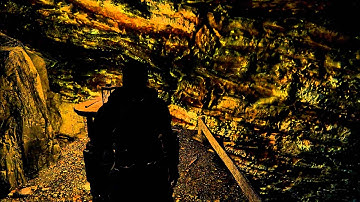 Darkfall Cave - A Dark Experience