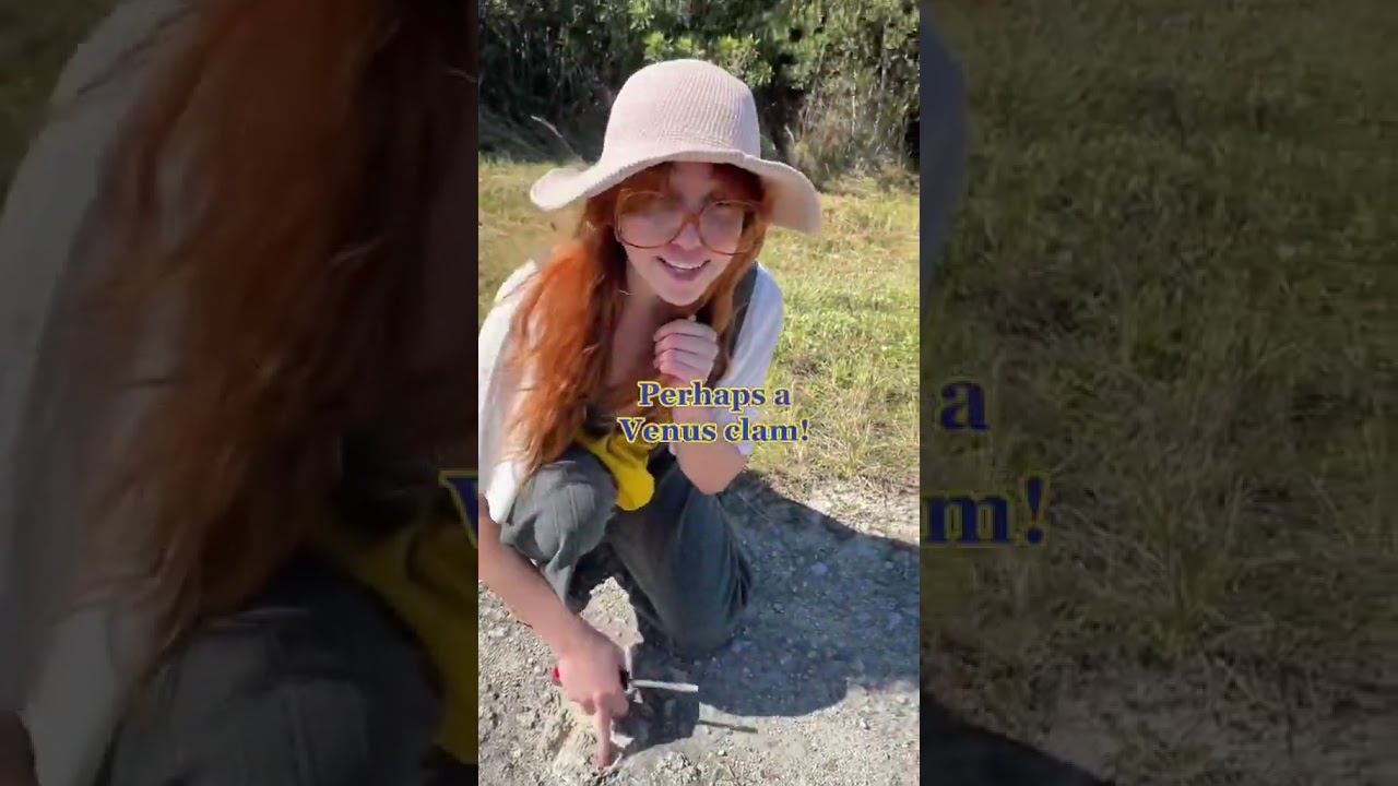 Поиск окаменелостей в жилом комплексе во Флориде! 