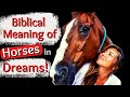 10 reasons why youre dreaming about horsesbiblical meaning of horses in dreams