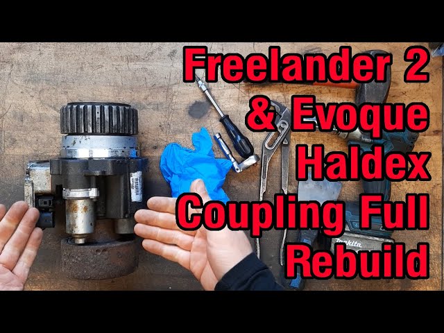 Landser Endlösung Final Solution Demo Demo | Final Solution