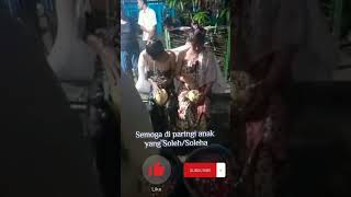 Download Lagu Proses Tingkepan/7 Bulanan adat Jawa Timur #shortvideo #short MP3