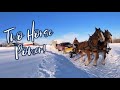 2 HORSEPOWER: Watch Horses Pull the Truck And Trailer Out!!// Horse Logging and Swapping Sides!!
