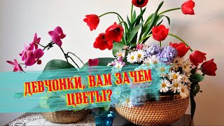 Цветы поют. Они всегда поют. Даже если люди не слышат