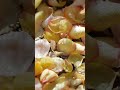 موسيقى أين عقلي عمر خورشيد