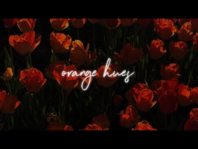 aqualina - orange hues (lo-fi remix prod. predo)