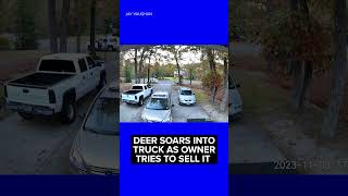 Video captures deer leaping into truck bed just as new buyer shows up