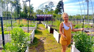 Learn to Garden! Tips and Tricks in a Raised Bed Garden Tour (Tour 3)