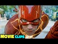 The flash movie funny clips in hindi theflash