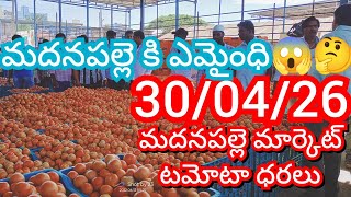 300426 Madanapalle Tomato Market Price Today  Today Tomato Market Rate In Madanapalle today