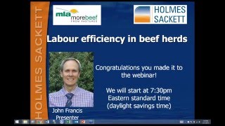 MBfP webinar |  Labour efficiency in beef businesses