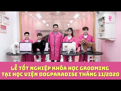 #1 Học Viên Tốt Nghiệp Khóa Học Grooming-Cắt Tỉa Lông Cho Thú Cưng - Tạo Việc Làm Ngay | DogParadise Mới Nhất 2 #1 Học Viên Tốt Nghiệp Khóa Học Grooming-Cắt Tỉa Lông Cho Thú Cưng – Tạo Việc Làm Ngay | DogParadise Mới Nhất