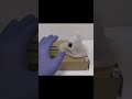 3 surprise piggy banks