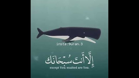 ايات من سورة يونس اسلام صبحي😍